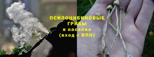 молекула духа Киренск