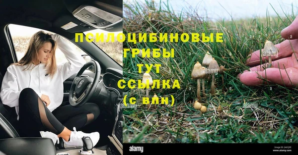 прущий лед Кинешма