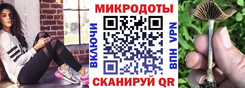 Галлюциногенные грибы прущие грибы  Купить закладки  Горняк 
