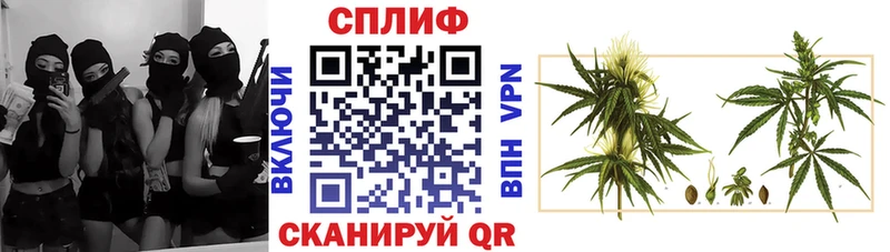 Купить где Горняк Марихуана OG Kush